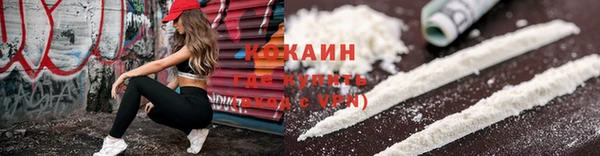 apvp Няндома