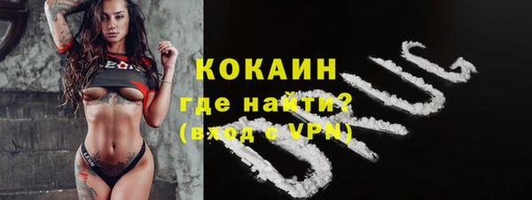 apvp Няндома