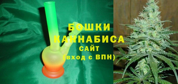 apvp Няндома