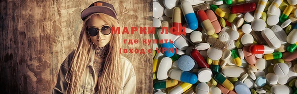 apvp Няндома