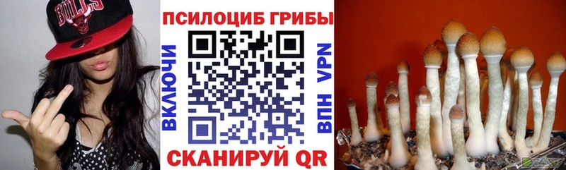хочу   Сорск  Псилоцибиновые грибы мицелий 